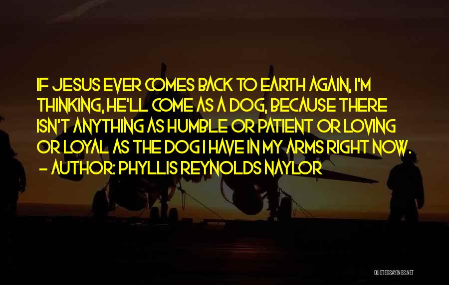 Phyllis Reynolds Naylor Quotes: If Jesus Ever Comes Back To Earth Again, I'm Thinking, He'll Come As A Dog, Because There Isn't Anything As