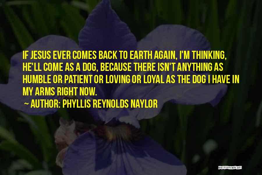 Phyllis Reynolds Naylor Quotes: If Jesus Ever Comes Back To Earth Again, I'm Thinking, He'll Come As A Dog, Because There Isn't Anything As