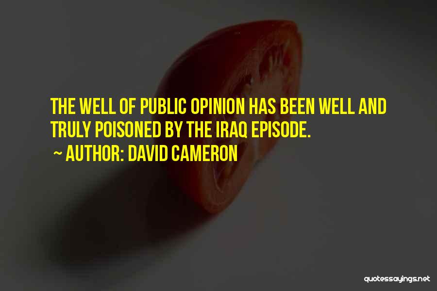 David Cameron Quotes: The Well Of Public Opinion Has Been Well And Truly Poisoned By The Iraq Episode.