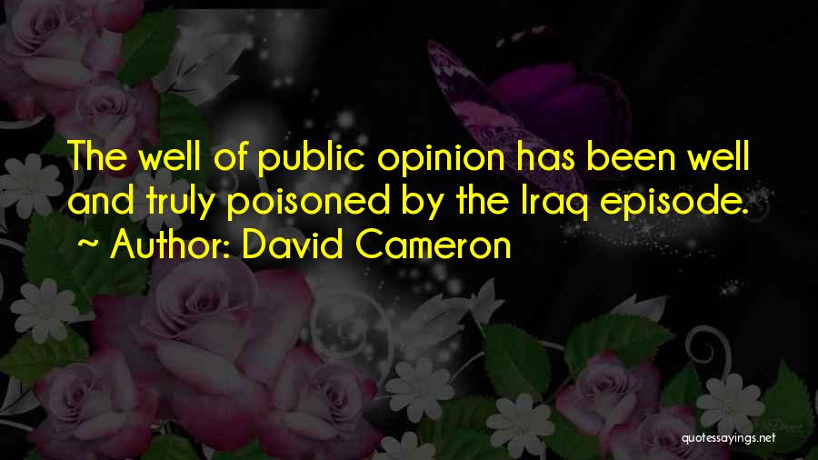 David Cameron Quotes: The Well Of Public Opinion Has Been Well And Truly Poisoned By The Iraq Episode.