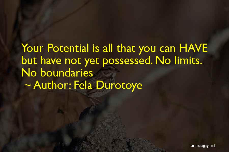 Fela Durotoye Quotes: Your Potential Is All That You Can Have But Have Not Yet Possessed. No Limits. No Boundaries