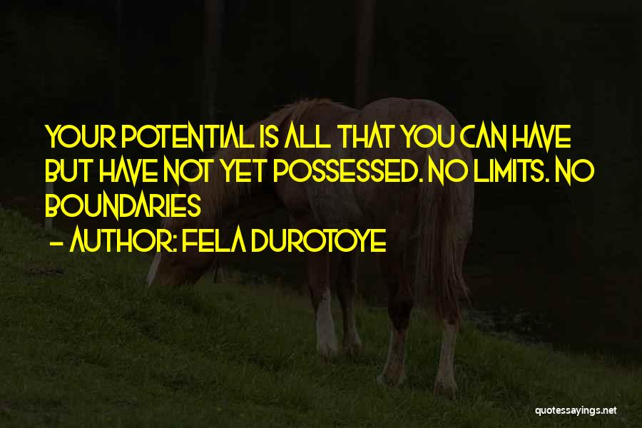 Fela Durotoye Quotes: Your Potential Is All That You Can Have But Have Not Yet Possessed. No Limits. No Boundaries