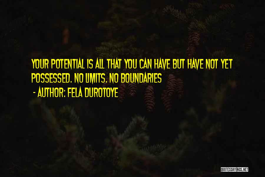 Fela Durotoye Quotes: Your Potential Is All That You Can Have But Have Not Yet Possessed. No Limits. No Boundaries