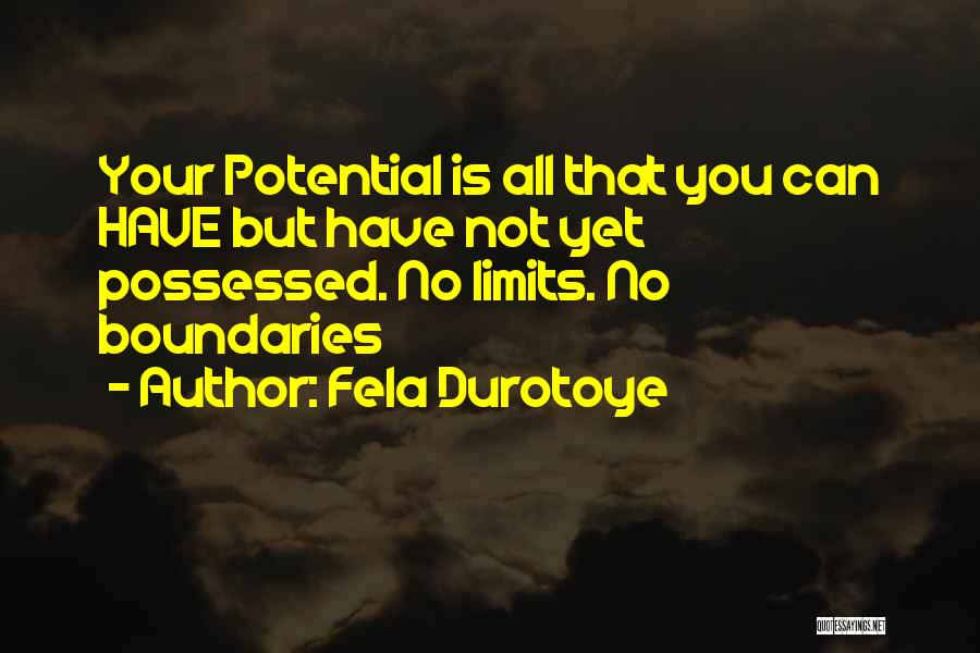 Fela Durotoye Quotes: Your Potential Is All That You Can Have But Have Not Yet Possessed. No Limits. No Boundaries