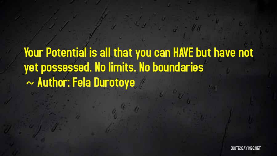 Fela Durotoye Quotes: Your Potential Is All That You Can Have But Have Not Yet Possessed. No Limits. No Boundaries