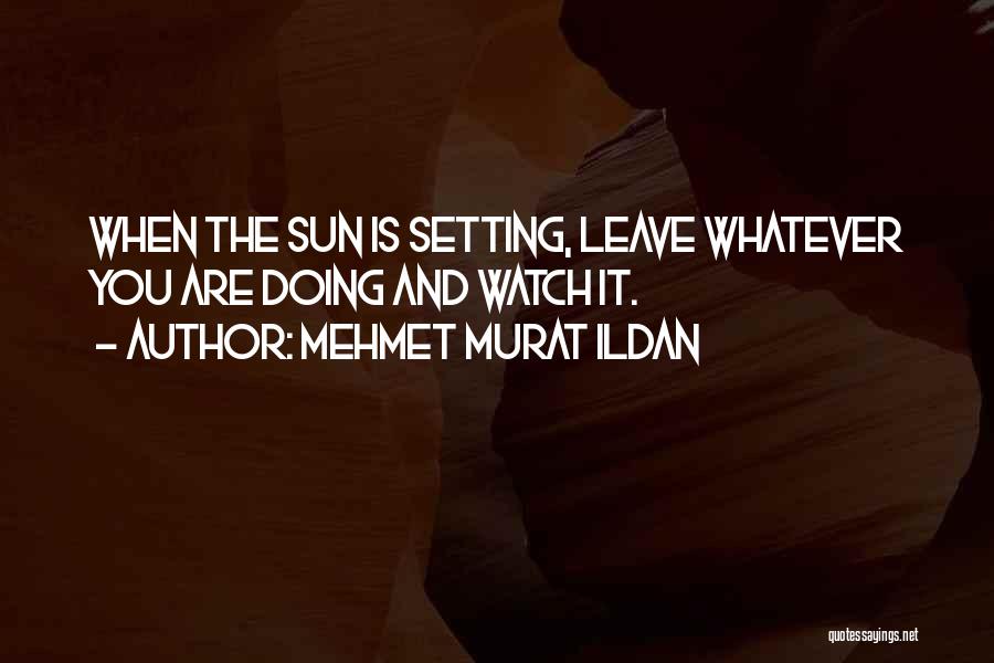 Mehmet Murat Ildan Quotes: When The Sun Is Setting, Leave Whatever You Are Doing And Watch It.