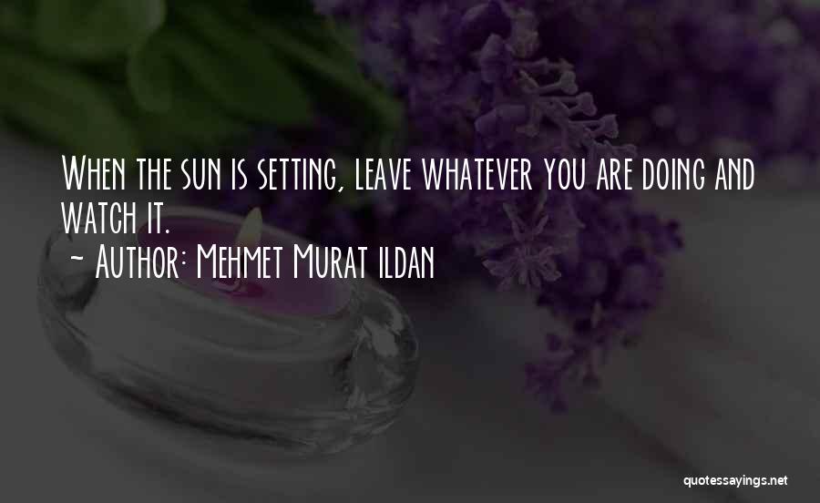 Mehmet Murat Ildan Quotes: When The Sun Is Setting, Leave Whatever You Are Doing And Watch It.