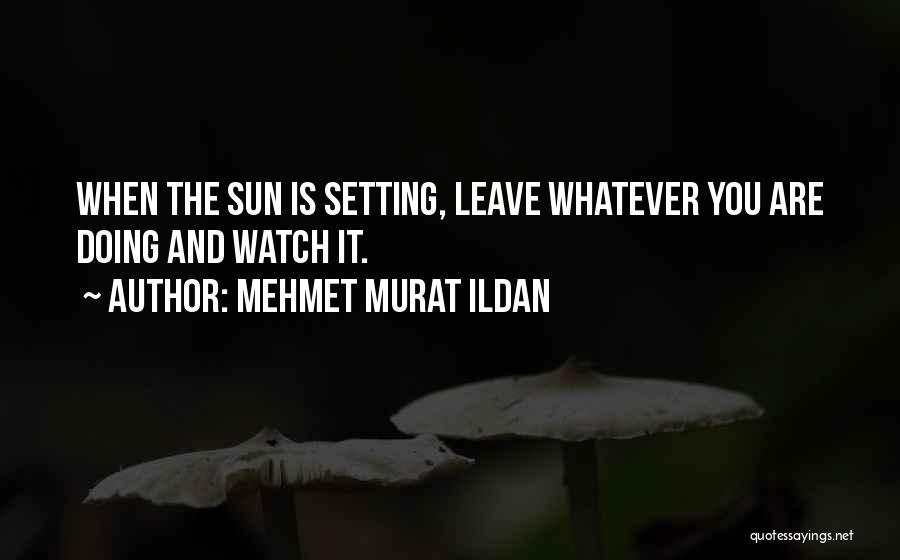 Mehmet Murat Ildan Quotes: When The Sun Is Setting, Leave Whatever You Are Doing And Watch It.