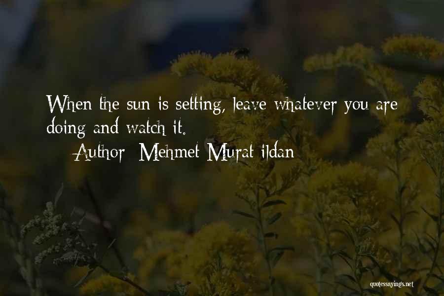 Mehmet Murat Ildan Quotes: When The Sun Is Setting, Leave Whatever You Are Doing And Watch It.