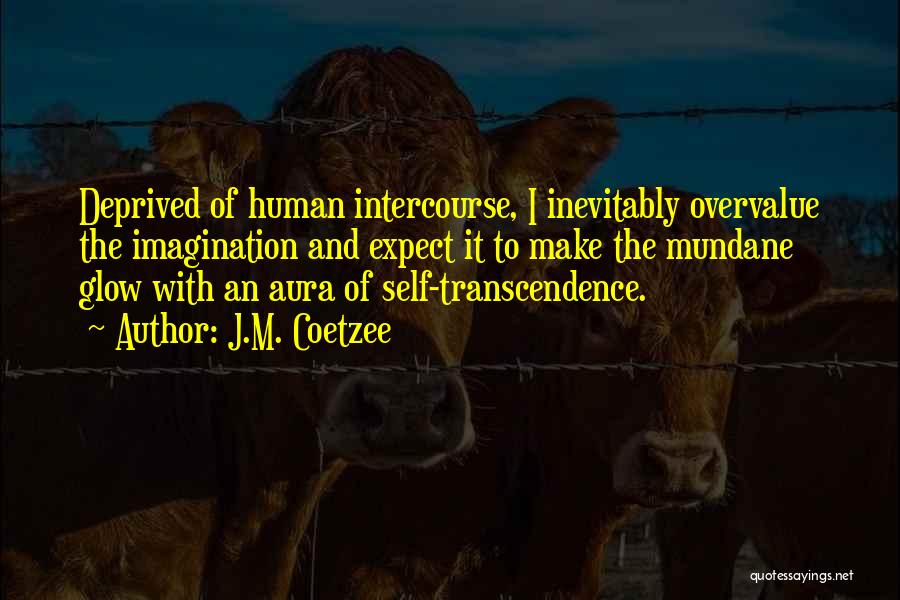 J.M. Coetzee Quotes: Deprived Of Human Intercourse, I Inevitably Overvalue The Imagination And Expect It To Make The Mundane Glow With An Aura