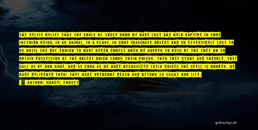 Marcel Proust Quotes: The Celtic Belief That The Souls Of Those Whom We Have Lost Are Held Captive In Some Inferior Being, In