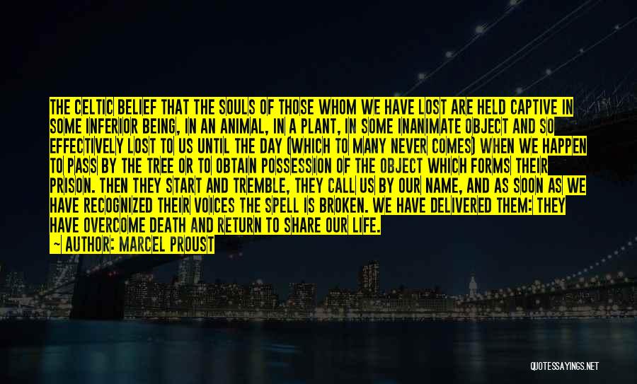 Marcel Proust Quotes: The Celtic Belief That The Souls Of Those Whom We Have Lost Are Held Captive In Some Inferior Being, In