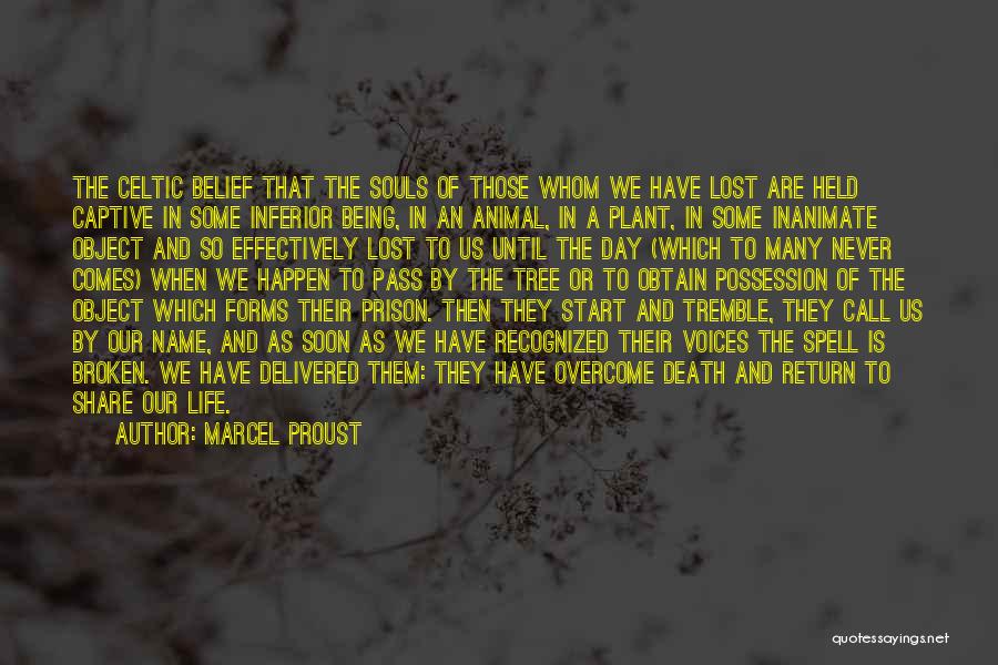 Marcel Proust Quotes: The Celtic Belief That The Souls Of Those Whom We Have Lost Are Held Captive In Some Inferior Being, In