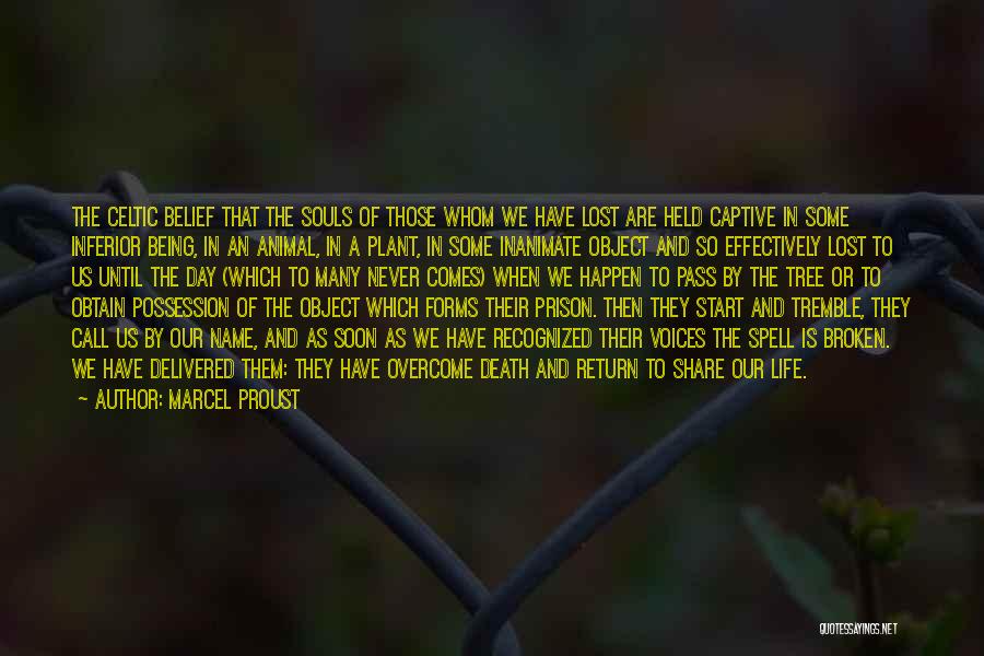 Marcel Proust Quotes: The Celtic Belief That The Souls Of Those Whom We Have Lost Are Held Captive In Some Inferior Being, In