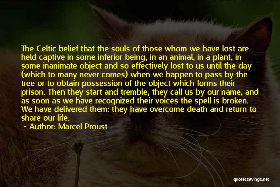 Marcel Proust Quotes: The Celtic Belief That The Souls Of Those Whom We Have Lost Are Held Captive In Some Inferior Being, In