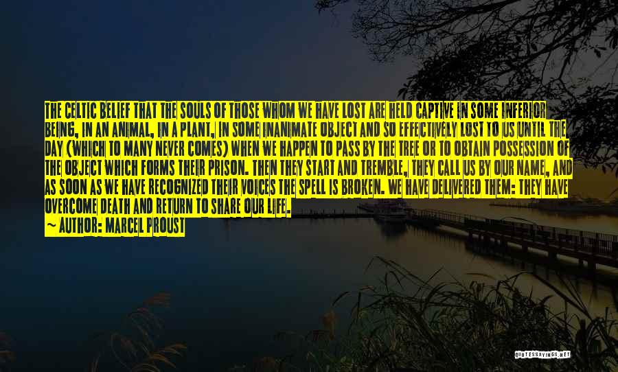 Marcel Proust Quotes: The Celtic Belief That The Souls Of Those Whom We Have Lost Are Held Captive In Some Inferior Being, In