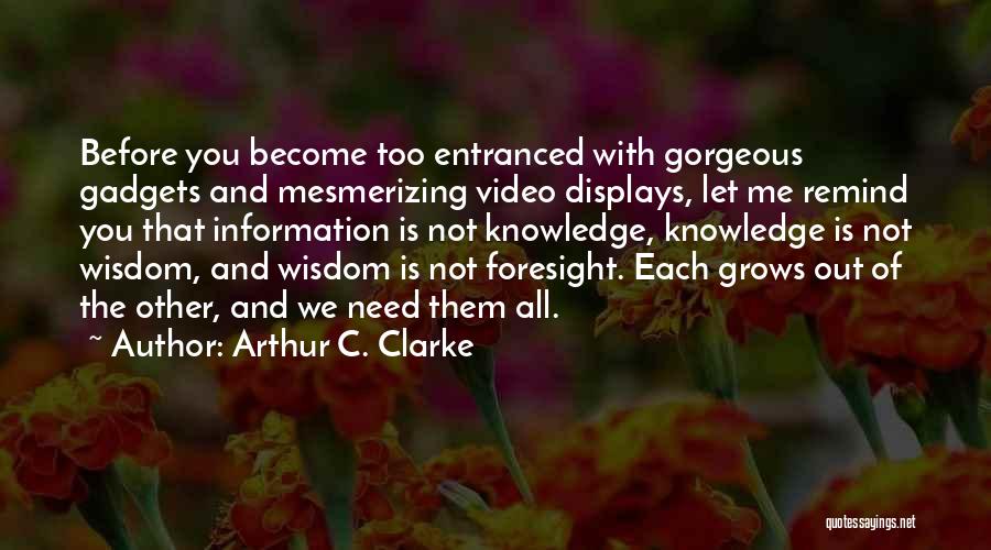 Arthur C. Clarke Quotes: Before You Become Too Entranced With Gorgeous Gadgets And Mesmerizing Video Displays, Let Me Remind You That Information Is Not