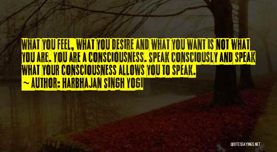 Harbhajan Singh Yogi Quotes: What You Feel, What You Desire And What You Want Is Not What You Are. You Are A Consciousness. Speak