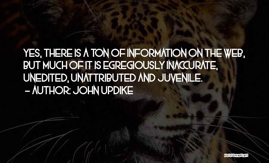 John Updike Quotes: Yes, There Is A Ton Of Information On The Web, But Much Of It Is Egregiously Inaccurate, Unedited, Unattributed And