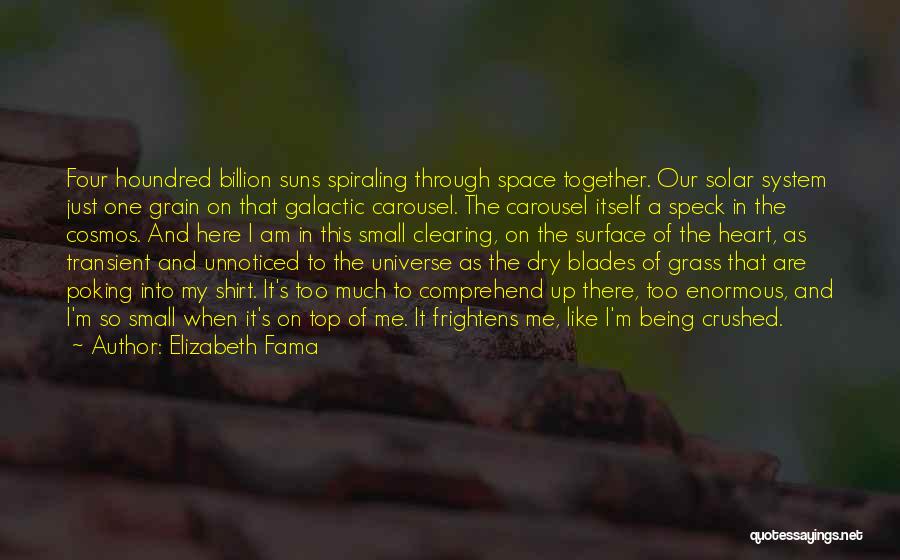 Elizabeth Fama Quotes: Four Houndred Billion Suns Spiraling Through Space Together. Our Solar System Just One Grain On That Galactic Carousel. The Carousel