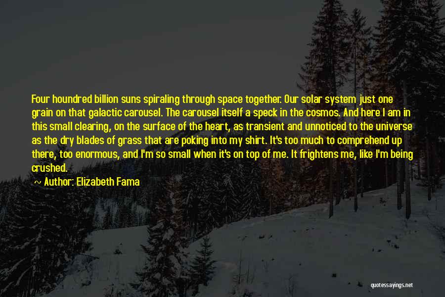 Elizabeth Fama Quotes: Four Houndred Billion Suns Spiraling Through Space Together. Our Solar System Just One Grain On That Galactic Carousel. The Carousel