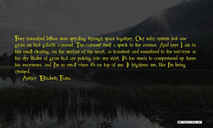 Elizabeth Fama Quotes: Four Houndred Billion Suns Spiraling Through Space Together. Our Solar System Just One Grain On That Galactic Carousel. The Carousel