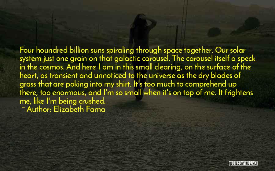 Elizabeth Fama Quotes: Four Houndred Billion Suns Spiraling Through Space Together. Our Solar System Just One Grain On That Galactic Carousel. The Carousel