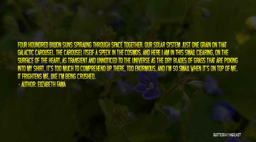 Elizabeth Fama Quotes: Four Houndred Billion Suns Spiraling Through Space Together. Our Solar System Just One Grain On That Galactic Carousel. The Carousel