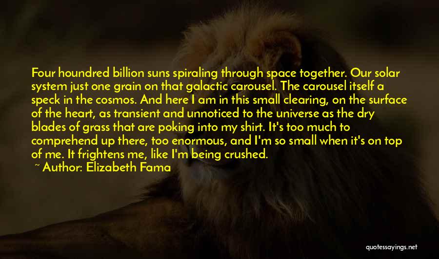 Elizabeth Fama Quotes: Four Houndred Billion Suns Spiraling Through Space Together. Our Solar System Just One Grain On That Galactic Carousel. The Carousel