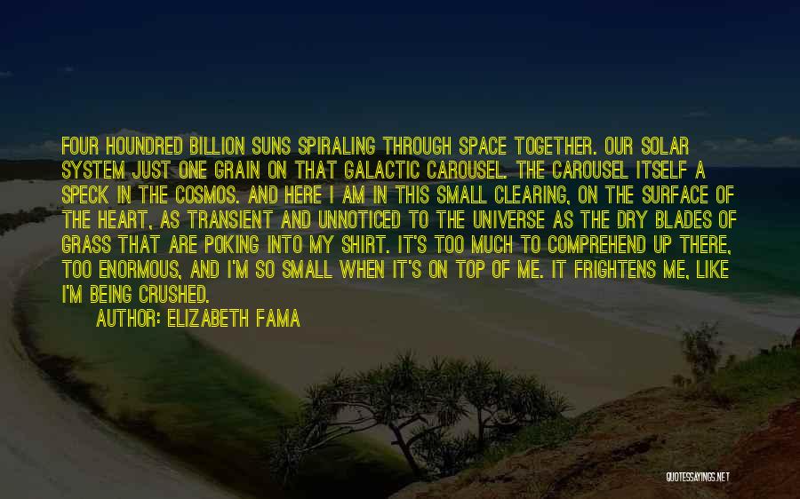 Elizabeth Fama Quotes: Four Houndred Billion Suns Spiraling Through Space Together. Our Solar System Just One Grain On That Galactic Carousel. The Carousel