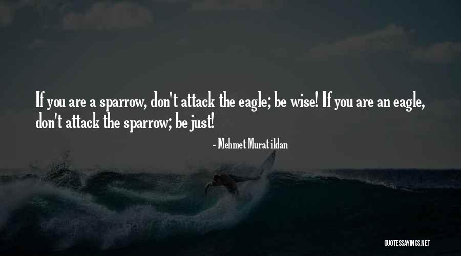 34b Cup Quotes By Mehmet Murat Ildan 34b Cup Quotes By Mehmet Murat Ildan