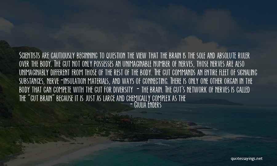 34b Sister Quotes By Giulia Enders 34b Sister Quotes By Giulia Enders