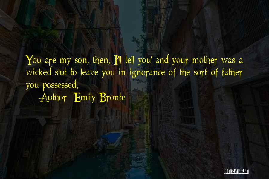 34th Monthsary Quotes By Emily Bronte