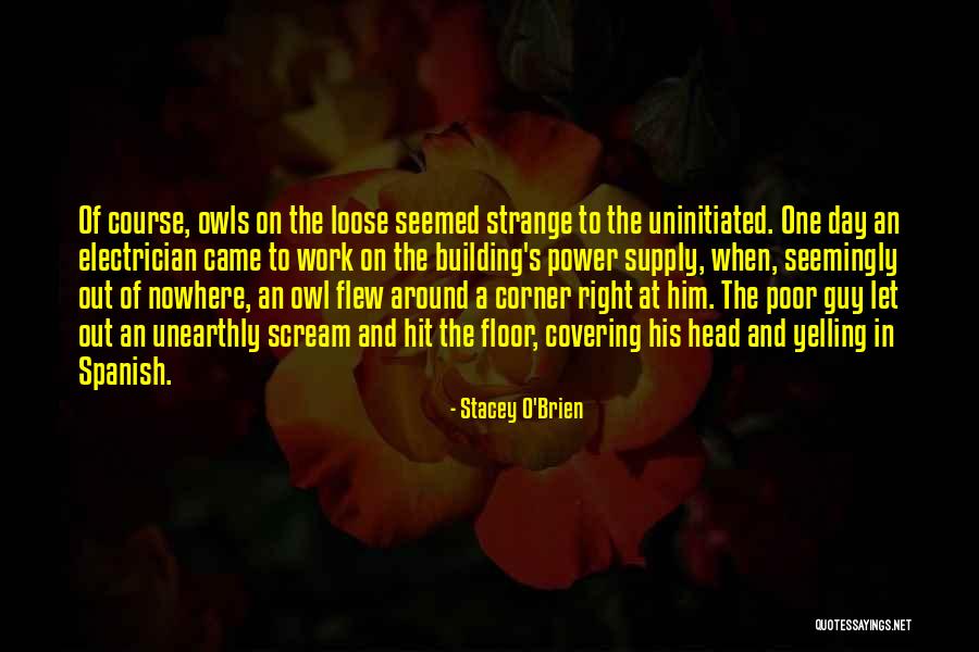 34th Wedding Anniversary Quotes By Stacey O'Brien 34th Wedding Anniversary Quotes By Stacey O'Brien