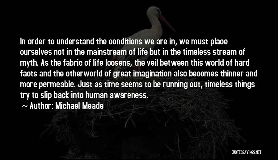 Michael Meade Quotes: In Order To Understand The Conditions We Are In, We Must Place Ourselves Not In The Mainstream Of Life But