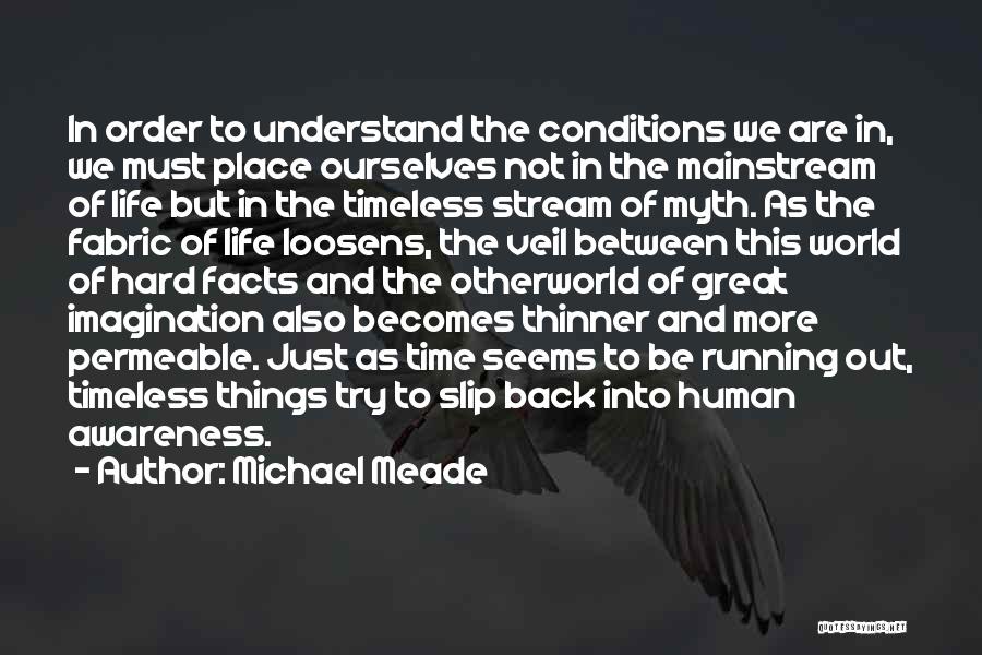 Michael Meade Quotes: In Order To Understand The Conditions We Are In, We Must Place Ourselves Not In The Mainstream Of Life But