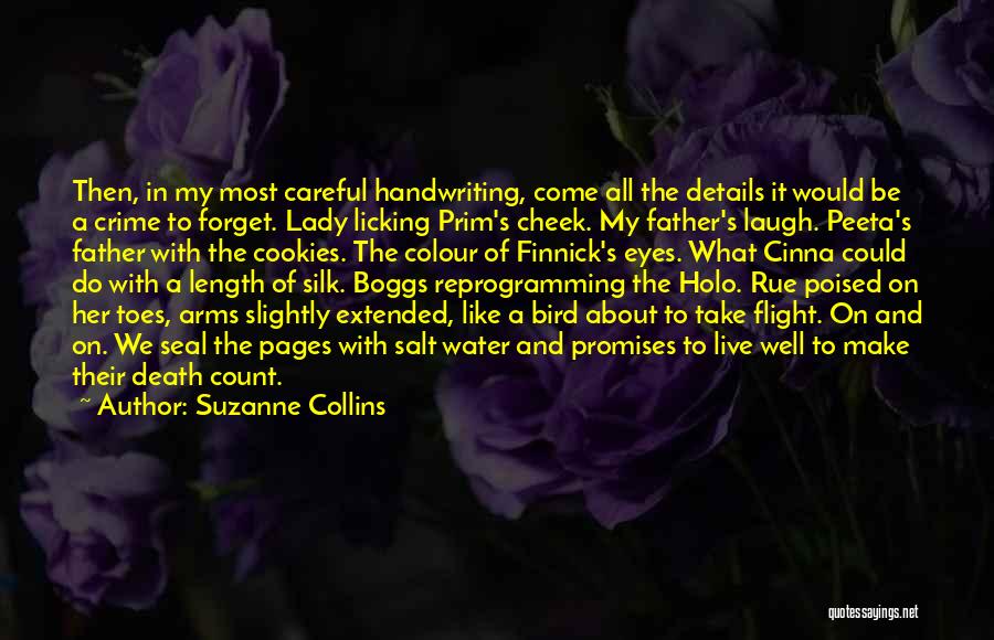 Suzanne Collins Quotes: Then, In My Most Careful Handwriting, Come All The Details It Would Be A Crime To Forget. Lady Licking Prim's