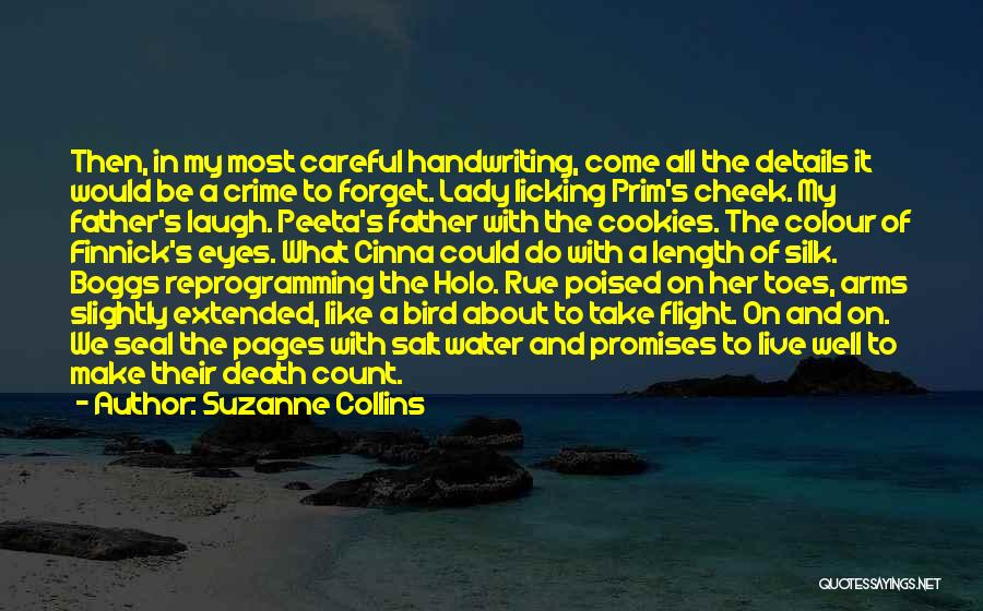 Suzanne Collins Quotes: Then, In My Most Careful Handwriting, Come All The Details It Would Be A Crime To Forget. Lady Licking Prim's