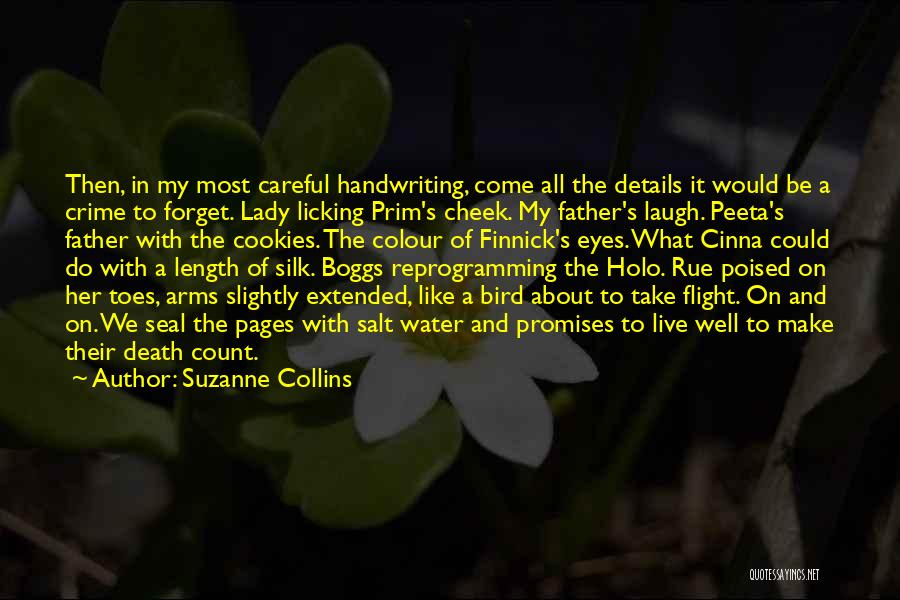 Suzanne Collins Quotes: Then, In My Most Careful Handwriting, Come All The Details It Would Be A Crime To Forget. Lady Licking Prim's