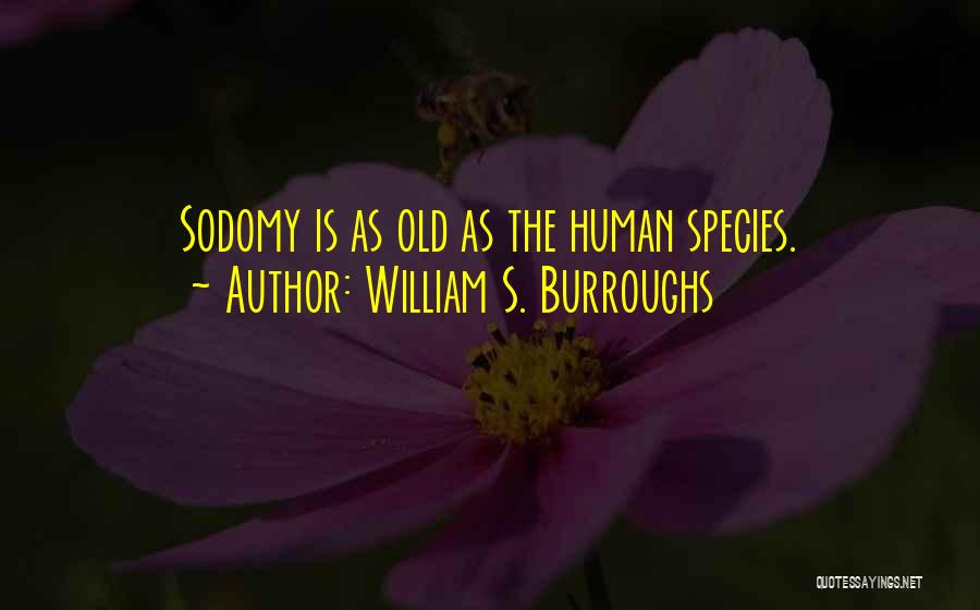 William S. Burroughs Quotes: Sodomy Is As Old As The Human Species.