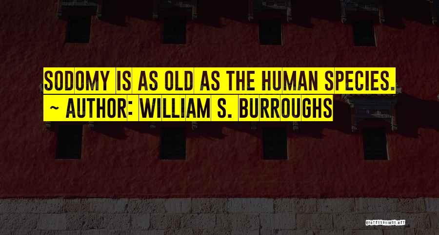 William S. Burroughs Quotes: Sodomy Is As Old As The Human Species.