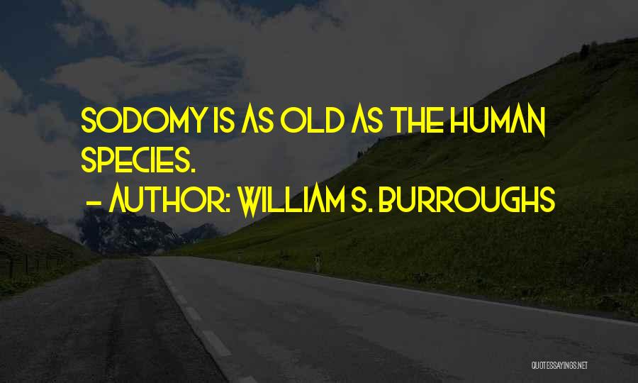 William S. Burroughs Quotes: Sodomy Is As Old As The Human Species.