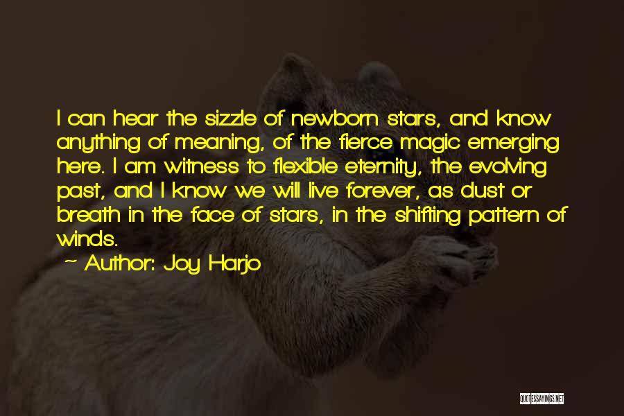 Joy Harjo Quotes: I Can Hear The Sizzle Of Newborn Stars, And Know Anything Of Meaning, Of The Fierce Magic Emerging Here. I