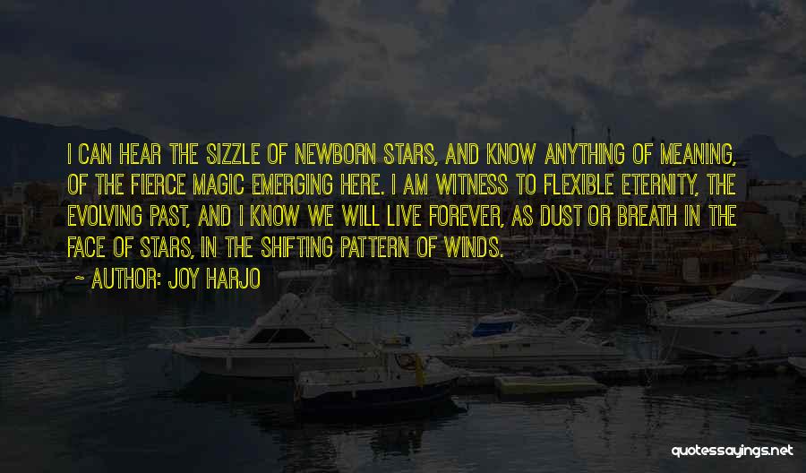Joy Harjo Quotes: I Can Hear The Sizzle Of Newborn Stars, And Know Anything Of Meaning, Of The Fierce Magic Emerging Here. I