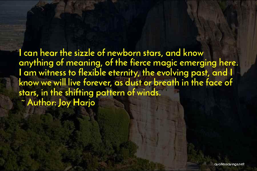 Joy Harjo Quotes: I Can Hear The Sizzle Of Newborn Stars, And Know Anything Of Meaning, Of The Fierce Magic Emerging Here. I