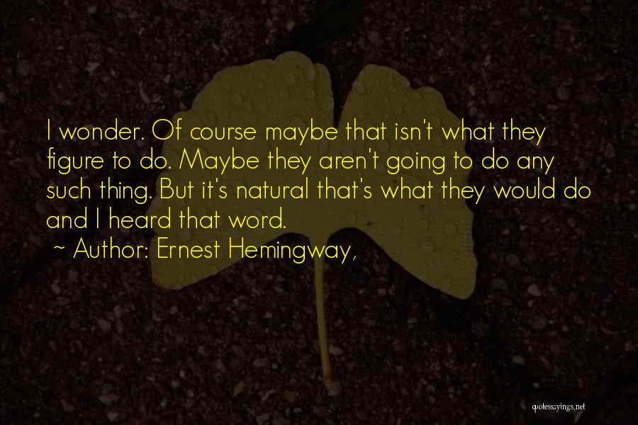 Ernest Hemingway, Quotes: I Wonder. Of Course Maybe That Isn't What They Figure To Do. Maybe They Aren't Going To Do Any Such