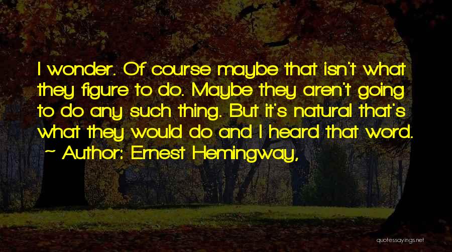 Ernest Hemingway, Quotes: I Wonder. Of Course Maybe That Isn't What They Figure To Do. Maybe They Aren't Going To Do Any Such