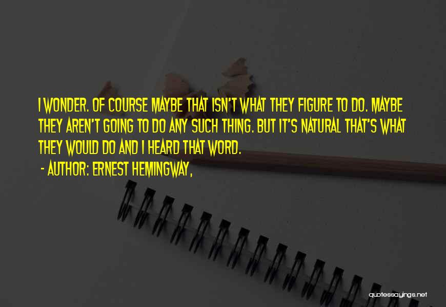Ernest Hemingway, Quotes: I Wonder. Of Course Maybe That Isn't What They Figure To Do. Maybe They Aren't Going To Do Any Such