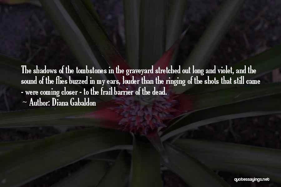 Diana Gabaldon Quotes: The Shadows Of The Tombstones In The Graveyard Stretched Out Long And Violet, And The Sound Of The Flies Buzzed