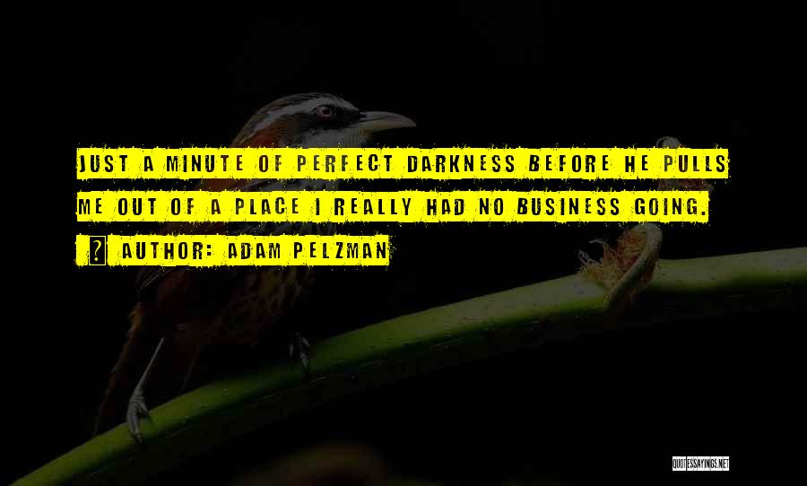 Adam Pelzman Quotes: Just A Minute Of Perfect Darkness Before He Pulls Me Out Of A Place I Really Had No Business Going.